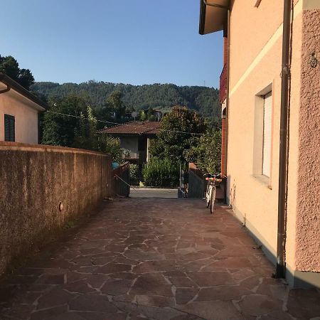 Villa Ester كامايوري المظهر الخارجي الصورة