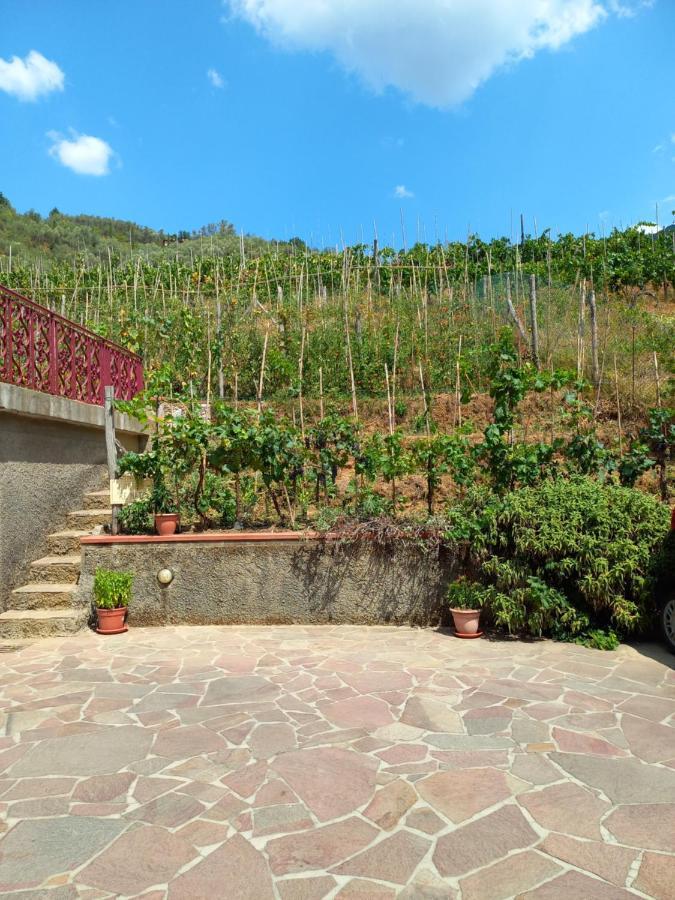 Villa Ester كامايوري المظهر الخارجي الصورة